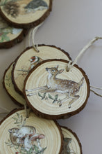 Load image into Gallery viewer, IOD The Bramblewood Diaries Transfer 8 Sheets 8" x 12" Woodland Seasonal Transfer Nature, Botanical & Cottage Core Furniture Decor