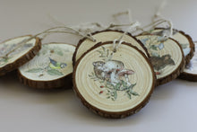 Load image into Gallery viewer, IOD The Bramblewood Diaries Transfer 8 Sheets 8" x 12" Woodland Seasonal Transfer Nature, Botanical & Cottage Core Furniture Decor
