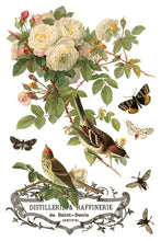 Load image into Gallery viewer, By Any Other Name IOD Transfer 8x12 Pad™ Roses