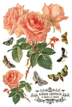 Load image into Gallery viewer, By Any Other Name IOD Transfer 8x12 Pad™ Roses