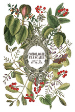 Load image into Gallery viewer, Clementine IOD Transfer 8x12 Pad Rub On Furniture Crafts Iron Orchid Designs Floral Designs Wildflowers like Daisies