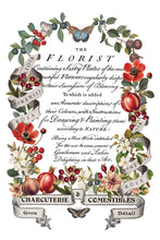 Load image into Gallery viewer, Clementine IOD Transfer 8x12 Pad Rub On Furniture Crafts Iron Orchid Designs Floral Designs Wildflowers like Daisies