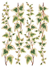 Load image into Gallery viewer, IOD Decorative Furniture Transfer Collage de Fleurs 12x16 Pad with 8 Sheets Furniture and Craft Rub On