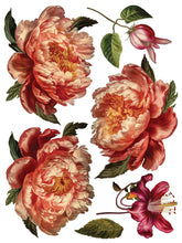 Load image into Gallery viewer, IOD Decorative Furniture Transfer Collage de Fleurs 12x16 Pad with 8 Sheets Furniture and Craft Rub On