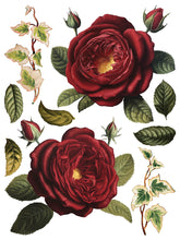 Load image into Gallery viewer, IOD Decorative Furniture Transfer Collage de Fleurs 12x16 Pad with 8 Sheets Furniture and Craft Rub On