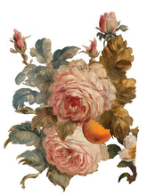 Load image into Gallery viewer, IOD Decorative Furniture Transfer Joie des Roses 12x16 Pad with 8 Sheets Furniture and Craft Rub On