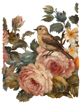 Load image into Gallery viewer, IOD Decorative Furniture Transfer Joie des Roses 12x16 Pad with 8 Sheets Furniture and Craft Rub On