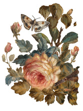 Load image into Gallery viewer, IOD Decorative Furniture Transfer Joie des Roses 12x16 Pad with 8 Sheets Furniture and Craft Rub On