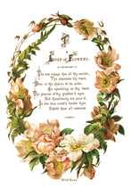 Load image into Gallery viewer, IOD Decorative Furniture Lover of Flowers Transfer  8" x 12" Pad 8 Sheets