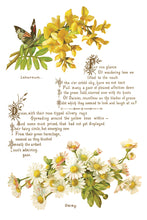 Load image into Gallery viewer, IOD Decorative Furniture Lover of Flowers Transfer  8" x 12" Pad 8 Sheets