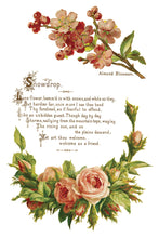 Load image into Gallery viewer, IOD Decorative Furniture Lover of Flowers Transfer  8" x 12" Pad 8 Sheets