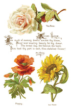 Load image into Gallery viewer, IOD Decorative Furniture Lover of Flowers Transfer  8" x 12" Pad 8 Sheets