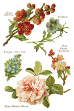 Load image into Gallery viewer, IOD Decorative Furniture Lover of Flowers Transfer  8" x 12" Pad 8 Sheets