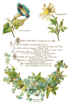 Load image into Gallery viewer, IOD Decorative Furniture Lover of Flowers Transfer  8" x 12" Pad 8 Sheets