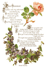 Load image into Gallery viewer, IOD Decorative Furniture Lover of Flowers Transfer  8" x 12" Pad 8 Sheets