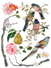 Load image into Gallery viewer, IOD Menagerie IOD Transfer 12x16 Pad Furniture Transfer Rub On Crafts Art by Iron Orchid Designs 8 Sheets Birds Bird Cage Branches Flowers