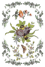 Load image into Gallery viewer, IOD Decorative Furniture Fairytale Florals Transfer  8" x 12" Pad 8 Sheets