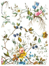 Load image into Gallery viewer, IOD Decorative Furniture Transfer Lost Garden 12x16 Pad with 8 Sheets Furniture and Craft Rub On