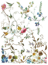 Load image into Gallery viewer, IOD Decorative Furniture Transfer Lost Garden 12x16 Pad with 8 Sheets Furniture and Craft Rub On