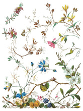 Load image into Gallery viewer, IOD Decorative Furniture Transfer Lost Garden 12x16 Pad with 8 Sheets Furniture and Craft Rub On