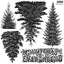 Load image into Gallery viewer, IOD Winter Grove Stamp 12x12 Iron Orchid Designs Christmas Evergreens Stamp Vintage Botanical Pine Trees Holiday Craft Stamp