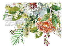 Load image into Gallery viewer, IOD Decorative Furniture Transfer ELYSIUM 12x16 Pad with 4 Sheets Furniture and Craft Rub On