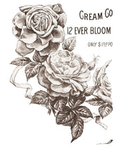 Load image into Gallery viewer, IOD Decorative Furniture Transfer May's Roses 12x16 Pad with 4 Sheets Furniture and Craft Rub On