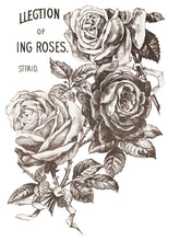 Load image into Gallery viewer, IOD Decorative Furniture Transfer May's Roses 12x16 Pad with 4 Sheets Furniture and Craft Rub On