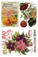 Load image into Gallery viewer, IOD Decorative Furniture Seed Catalogue Transfer 8" x 12" Pad 8 Sheets