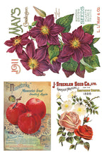 Load image into Gallery viewer, IOD Decorative Furniture Seed Catalogue Transfer 8" x 12" Pad 8 Sheets