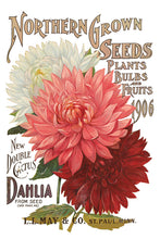 Load image into Gallery viewer, IOD Decorative Furniture Seed Catalogue Transfer 8" x 12" Pad 8 Sheets