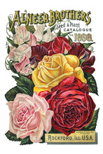 Load image into Gallery viewer, IOD Decorative Furniture Seed Catalogue Transfer 8" x 12" Pad 8 Sheets