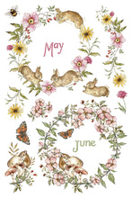 Load image into Gallery viewer, IOD The Bramblewood Diaries Transfer 8 Sheets 8" x 12" Woodland Seasonal Transfer Nature, Botanical & Cottage Core Furniture Decor