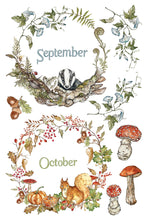 Load image into Gallery viewer, IOD The Bramblewood Diaries Transfer 8 Sheets 8" x 12" Woodland Seasonal Transfer Nature, Botanical & Cottage Core Furniture Decor