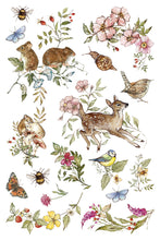 Load image into Gallery viewer, IOD The Bramblewood Diaries Transfer 8 Sheets 8" x 12" Woodland Seasonal Transfer Nature, Botanical & Cottage Core Furniture Decor