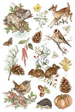 Load image into Gallery viewer, IOD The Bramblewood Diaries Transfer 8 Sheets 8" x 12" Woodland Seasonal Transfer Nature, Botanical & Cottage Core Furniture Decor