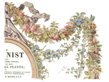 Load image into Gallery viewer, Retiring 20% Off The Botanist 12x16 Pad with 4 Sheets Furniture and Craft Rub On
