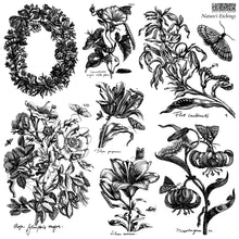 Load image into Gallery viewer, Nature's Etchings 12x12 IOD Stamp 2 Sheets: Iron Orchid Designs 2 Sheets 12 x 12