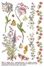 Load image into Gallery viewer, Primrose Isle IOD Transfer Vintage Botanical Floral Transfer Wildflower Furniture Decor Cottage core DIY Rub On Transfer 8x12