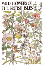 Load image into Gallery viewer, Primrose Isle IOD Transfer Vintage Botanical Floral Transfer Wildflower Furniture Decor Cottage core DIY Rub On Transfer 8x12