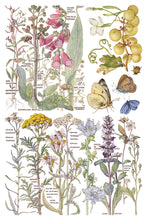 Load image into Gallery viewer, Primrose Isle IOD Transfer Vintage Botanical Floral Transfer Wildflower Furniture Decor Cottage core DIY Rub On Transfer 8x12