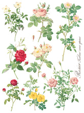 Load image into Gallery viewer, IOD Decorative Furniture Transfer Rose Botanical 12x16 Pad with 8 Sheets Furniture and Craft Rub On