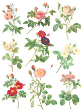 Load image into Gallery viewer, IOD Decorative Furniture Transfer Rose Botanical 12x16 Pad with 8 Sheets Furniture and Craft Rub On