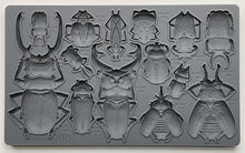 Load image into Gallery viewer, IOD Specimens 6x10 Decor Mould
