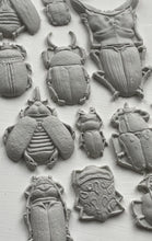 Load image into Gallery viewer, IOD Specimens 6x10 Decor Mould