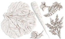 Load image into Gallery viewer, Spring Garden 6x10 IOD Mould™