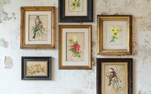 Load image into Gallery viewer, IOD Transfer Catharina Transfer  8" x 12" Pad 8 Sheets Roses Birds Florals