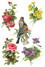 Load image into Gallery viewer, IOD Transfer Catharina Transfer  8" x 12" Pad 8 Sheets Roses Birds Florals