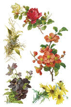 Load image into Gallery viewer, IOD Transfer Catharina Transfer  8" x 12" Pad 8 Sheets Roses Birds Florals