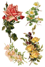 Load image into Gallery viewer, IOD Transfer Catharina Transfer  8" x 12" Pad 8 Sheets Roses Birds Florals